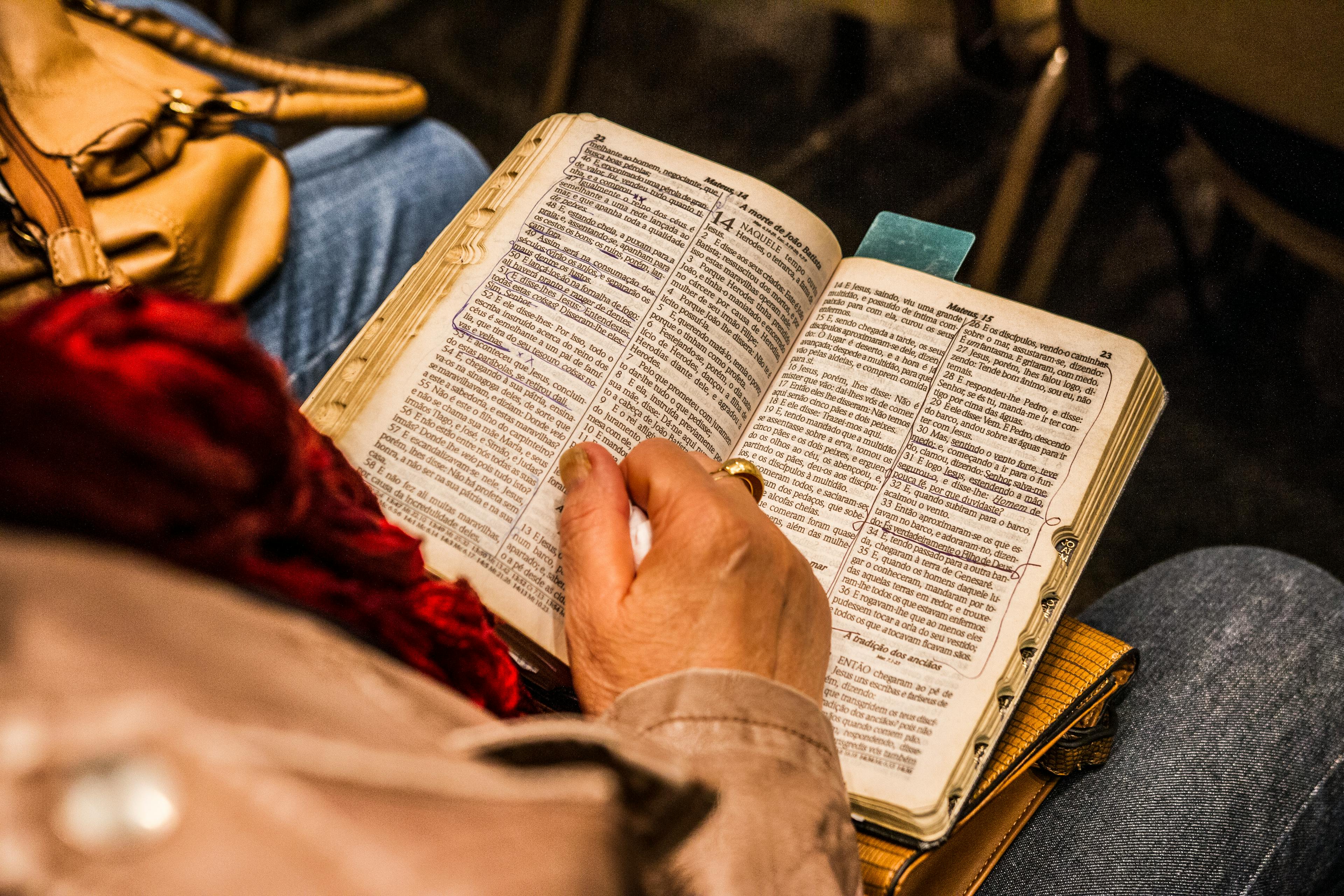 Person Holding Opened Book