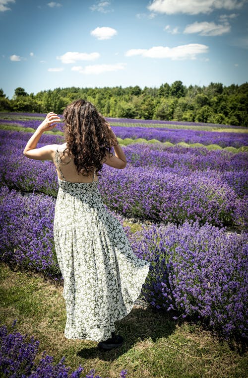 Free Woman in White and Purple Floral Dress Standing on Purple Flower Field Stock Photo