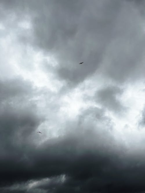 Gratuit Imagine de stoc gratuită din acoperit de nori, atmosferă sumbră, cer Fotografie de stoc