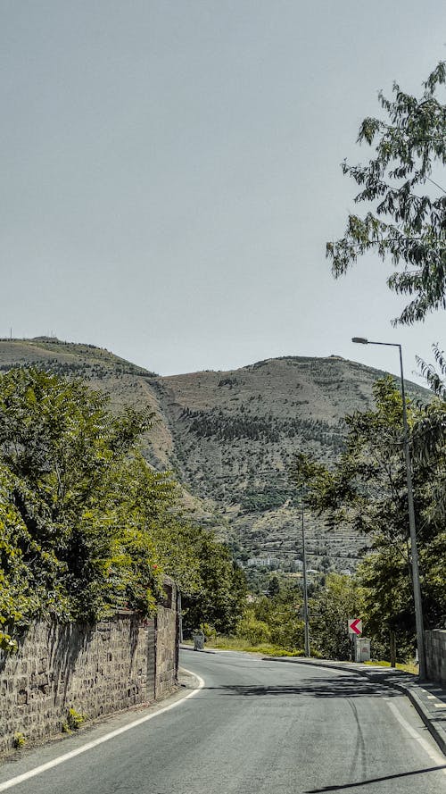 An Empty Road Between Green Trees Near the Mountain