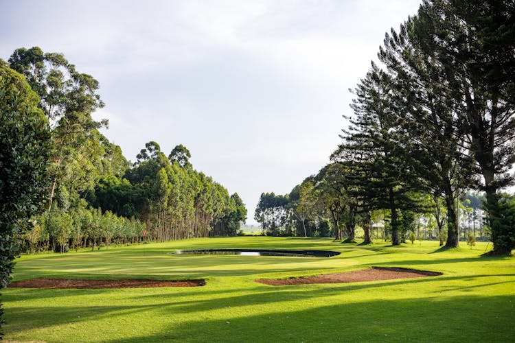 Sunny Morning In Golf Park