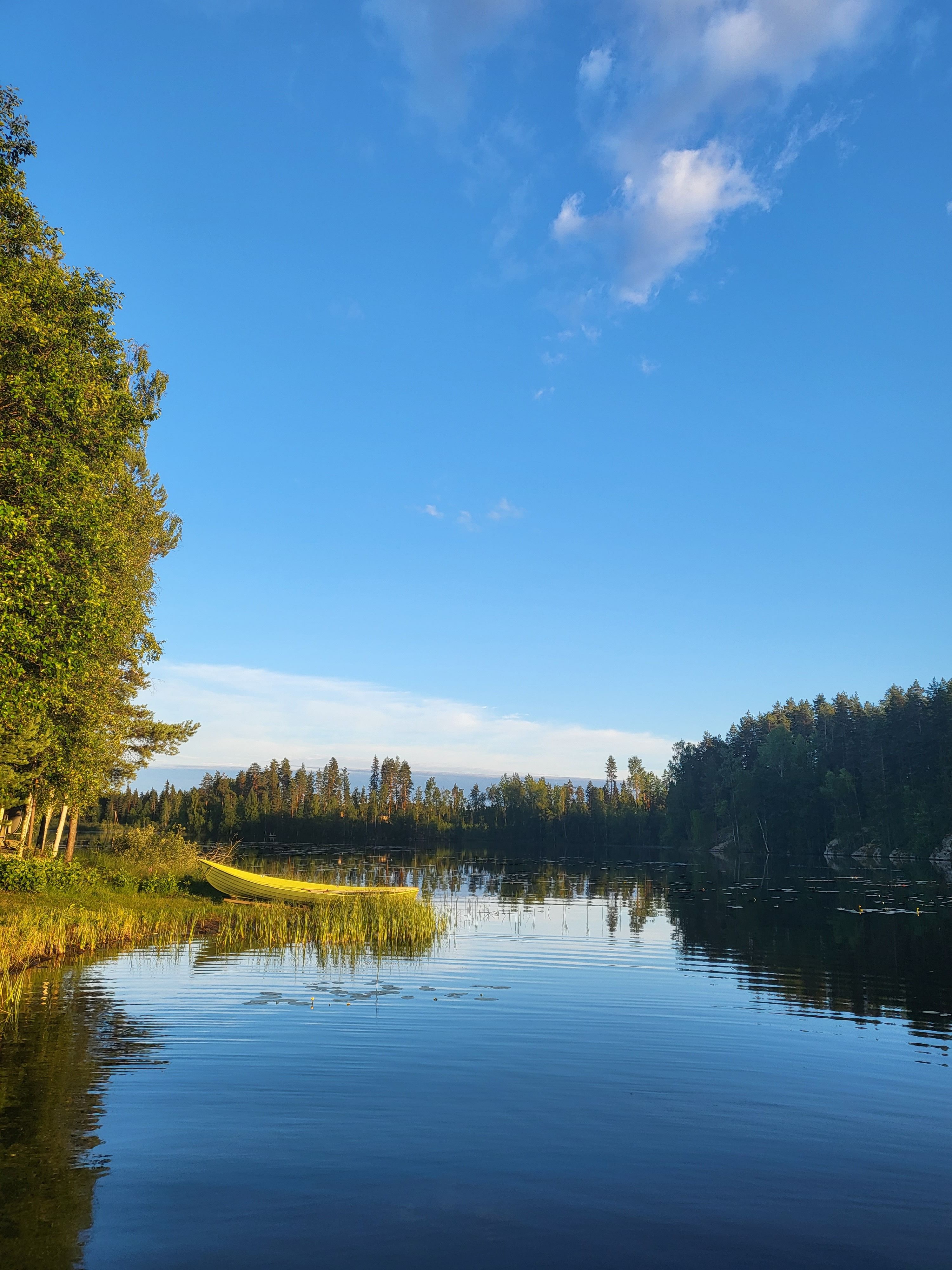 A Lake Between Green Trees Under the Blue Sky · Free Stock Photo