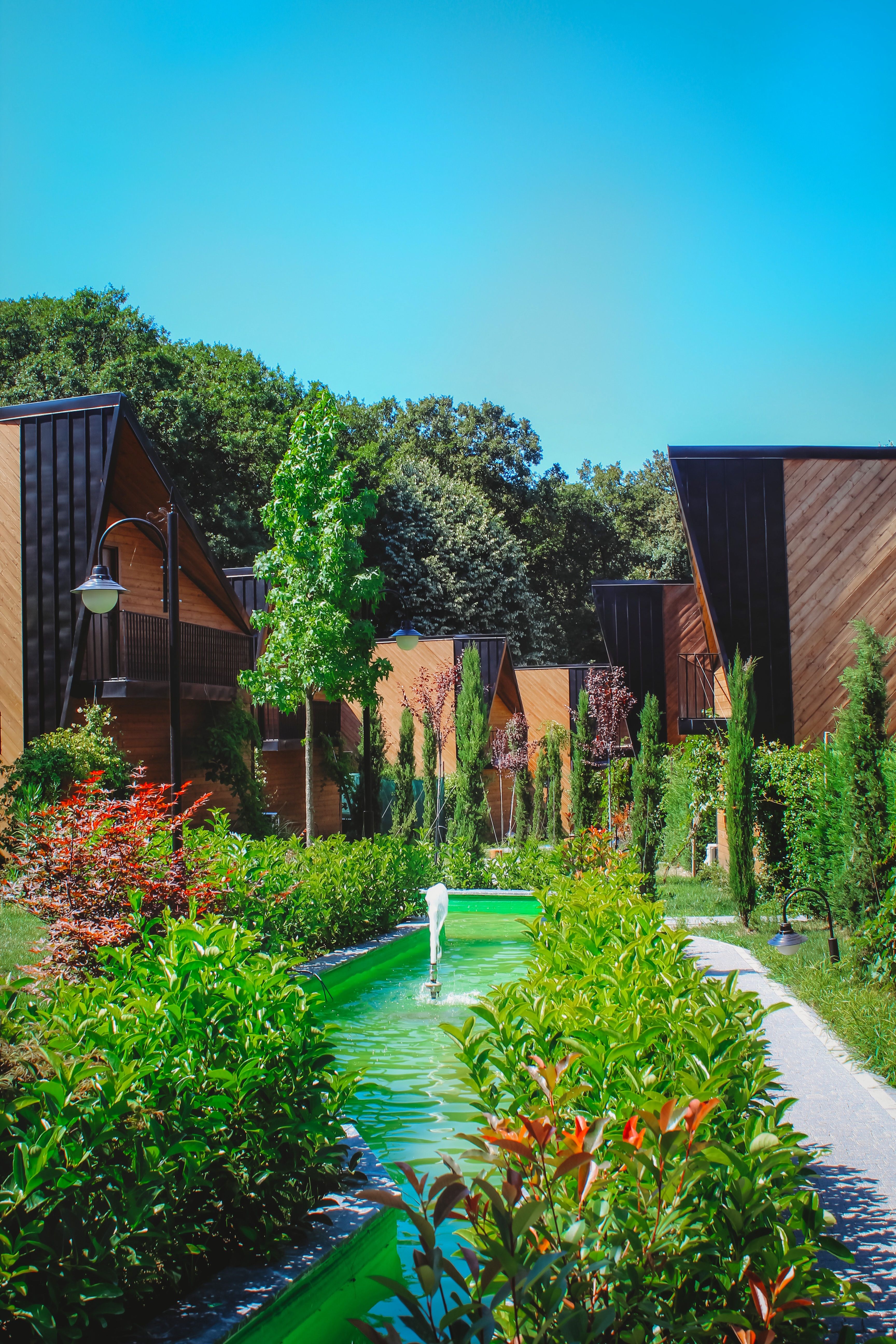 Lush garden pathway with vibrant plants and modern cottages on a sunny day.