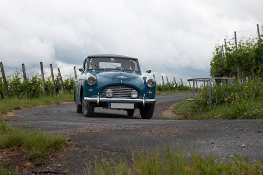 Classic Austin A40 navigating a rural road surrounded by lush vineyards, a vintage driving experience.