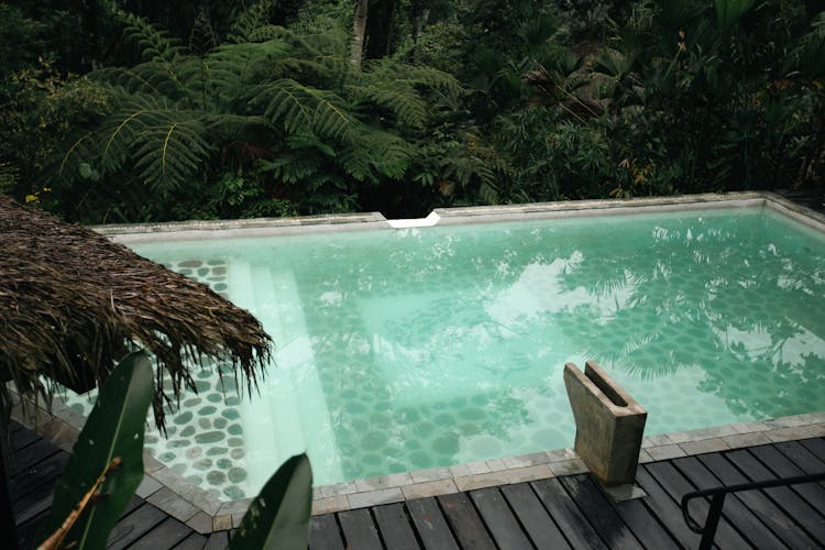 Pool In A Tropical Resort 