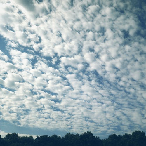 Foto stok gratis awan, awan langit, awan putih