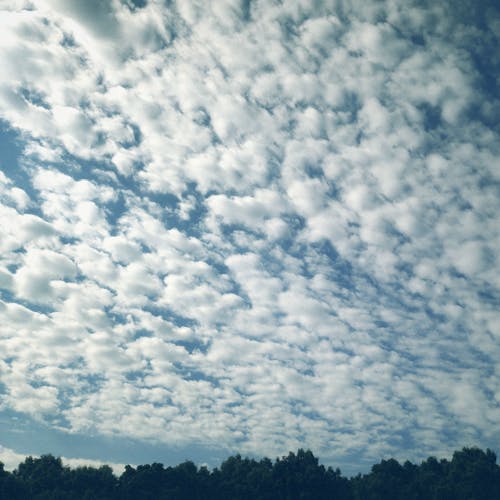 Altocumulus