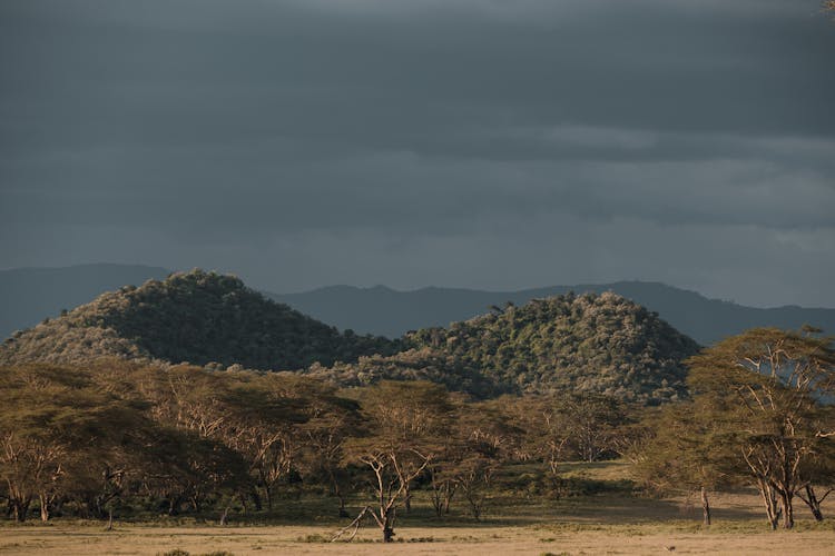 View Of Volcanic Hills In African Savanna