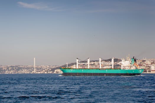 Cargo ship navigating the Bosphorus Strait near Istanbul with a clear skyline and the Bosphorus Bridge.