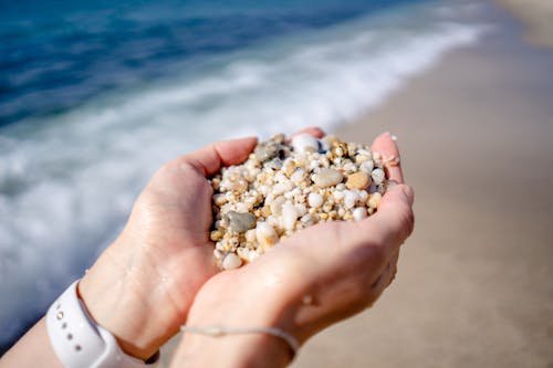 Безкоштовне стокове фото на тему «берег моря, Вибірковий фокус, вода»