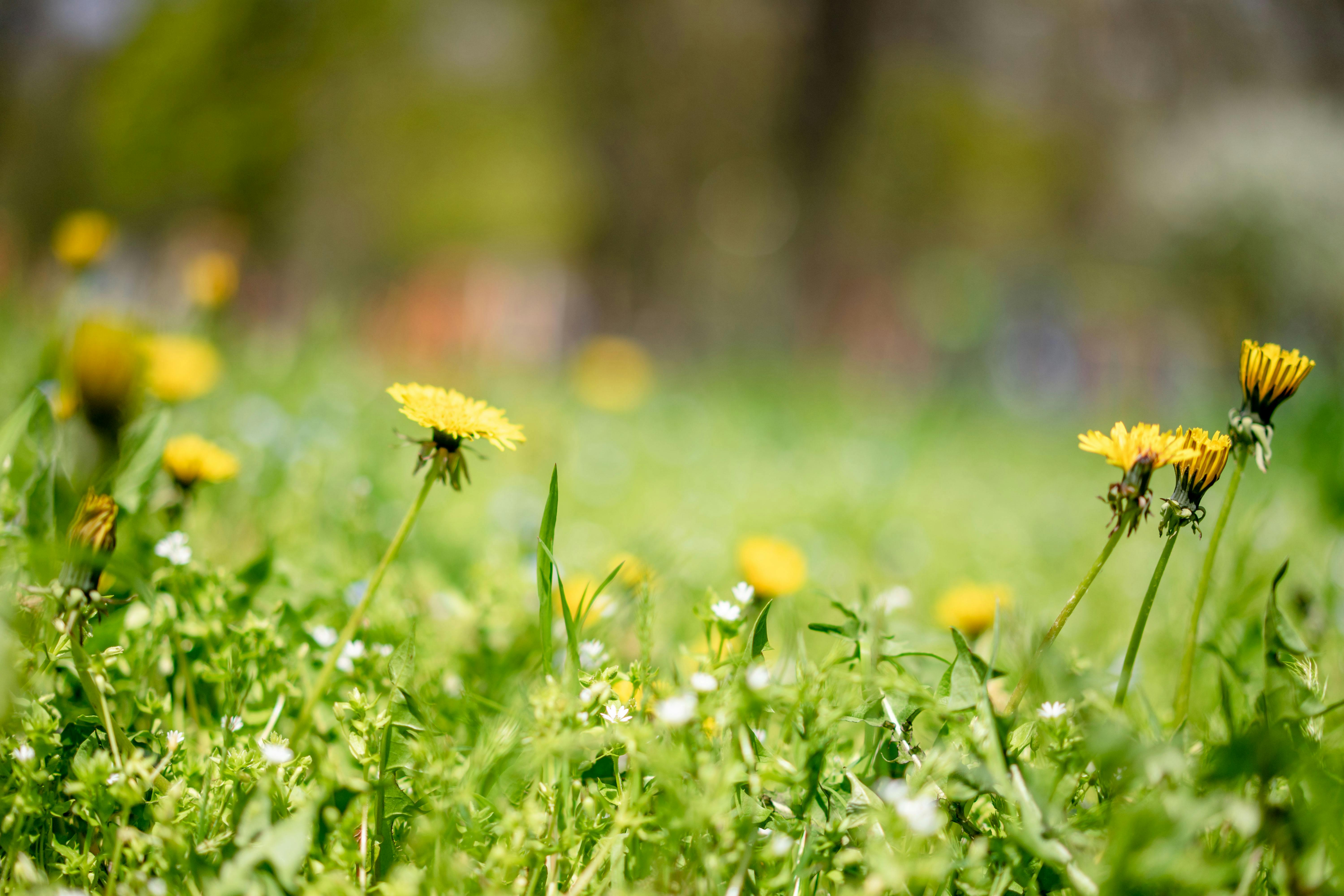 Local expert offers tips to 'spring clean' your beauty, skincare routine — Photo by Atlantic Ambience on Pexels