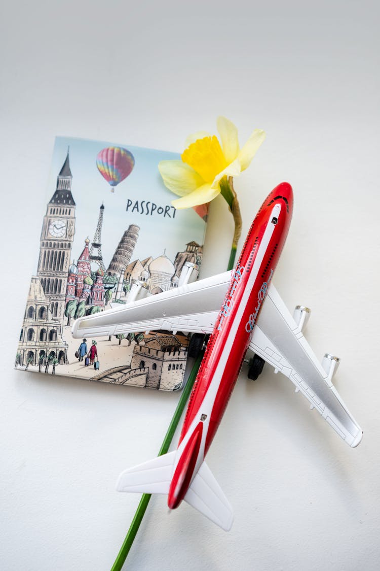 Toy Airplane And Flower On Card