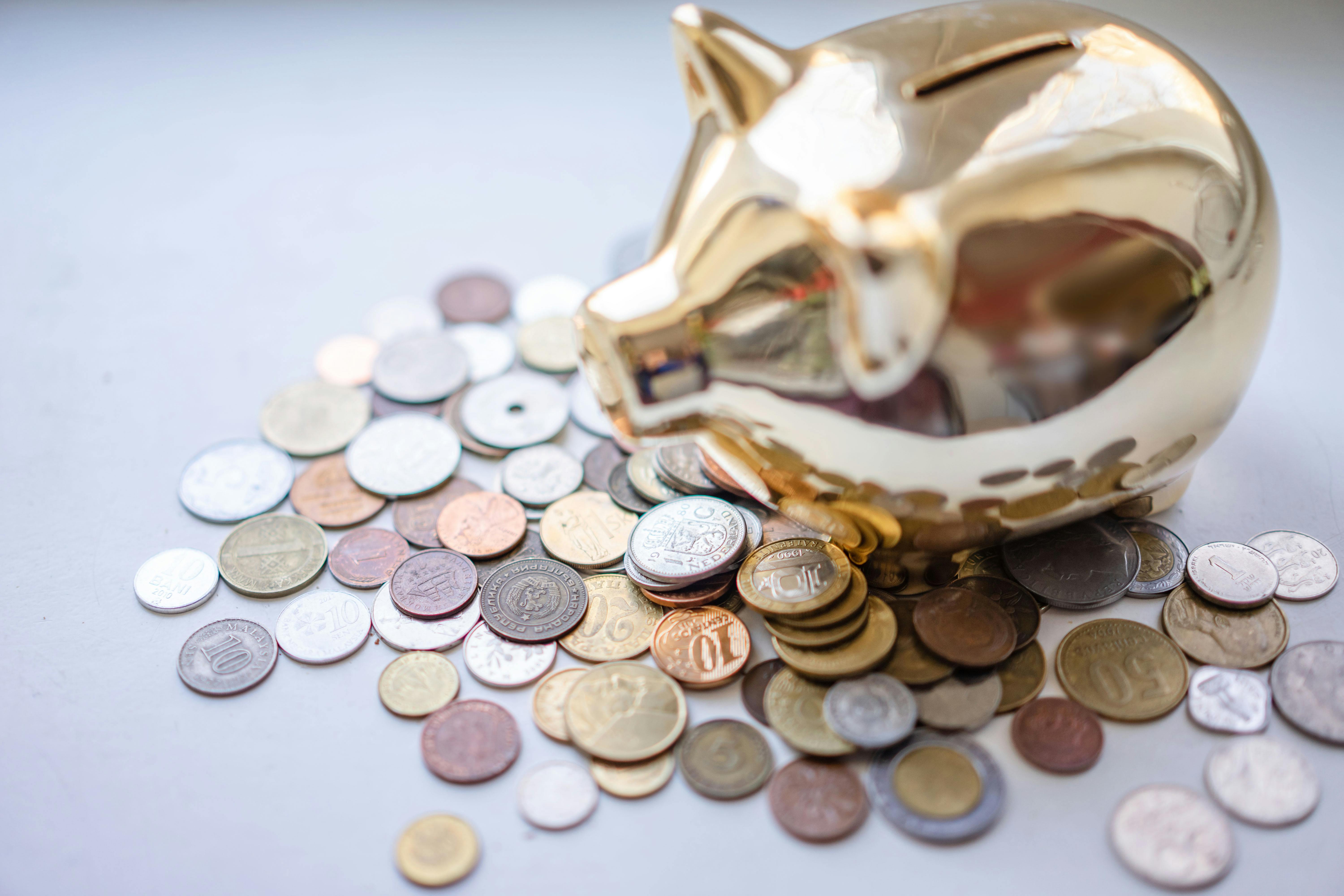 silver and gold coins near piggy bank