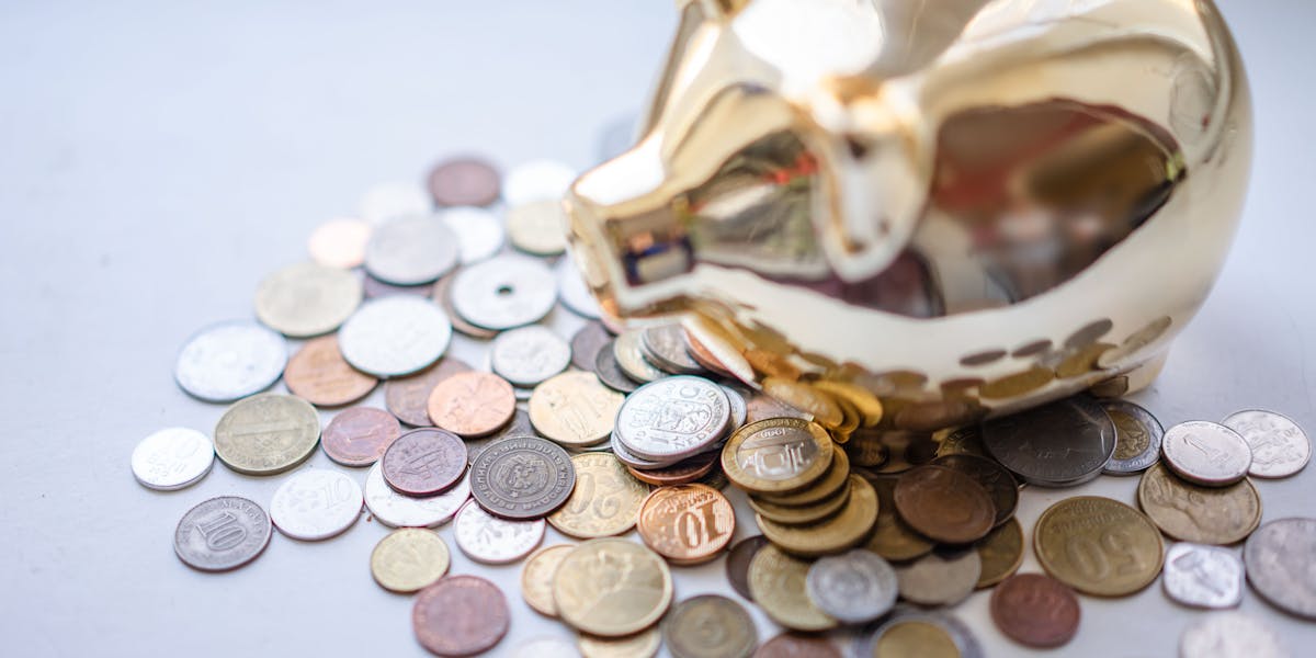 Savings Goal Calculator: Emergency Fund for Single Income Family