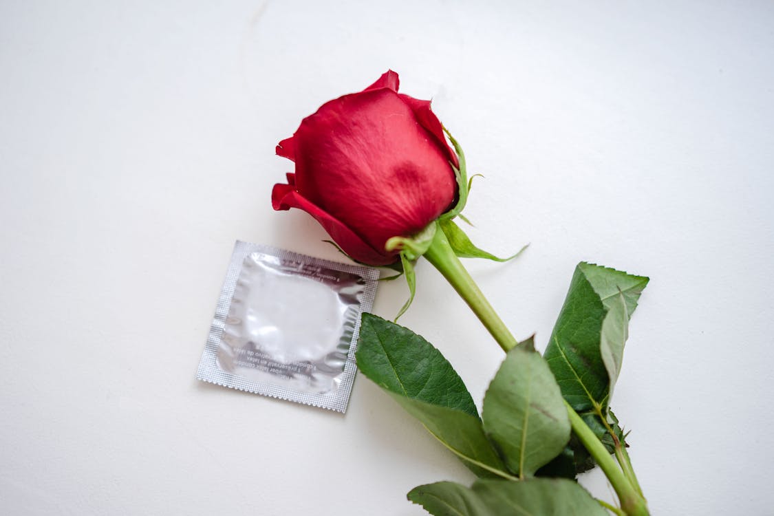 Darmowe zdjęcie z galerii z biała powierzchnia, czerwona róża, czerwony kwiat