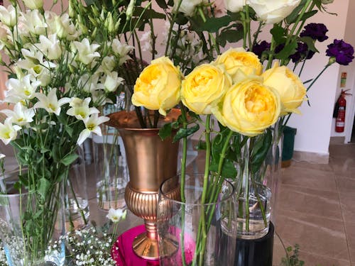 Free yellow rose and white lily displayed in flower jar Stock Photo