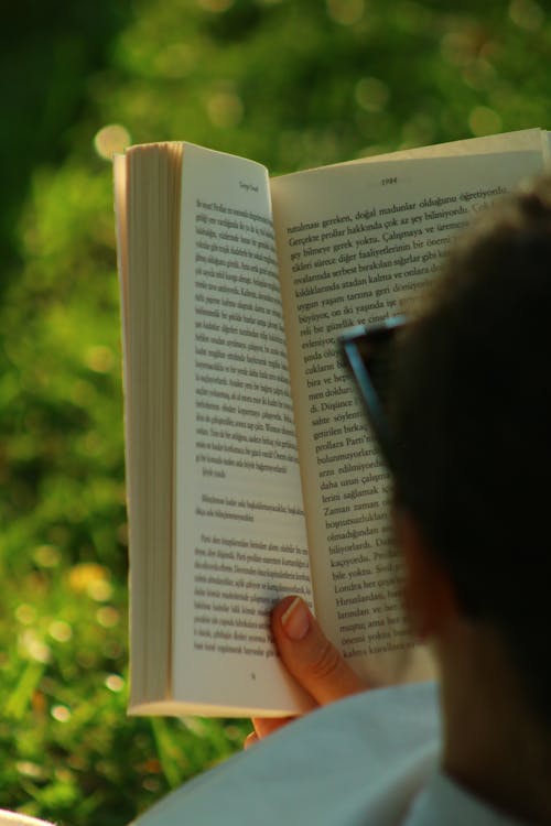 Person Reading a Book