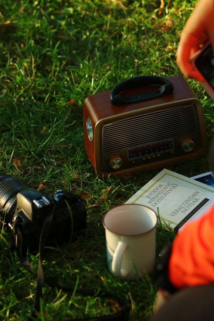 Retro Radio And Camera On Grass