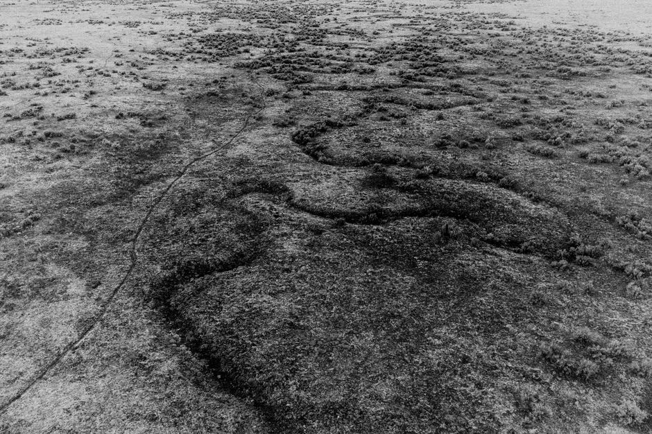 Expansive aerial shot of a black and white grassland landscape