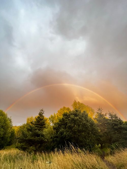 Free Stunning rainbow arches over a green countryside landscape with trees and dramatic cloudy sky. Stock Photo