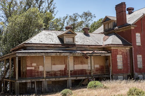 Fotos de stock gratuitas de abandonado, arboles, arquitectura