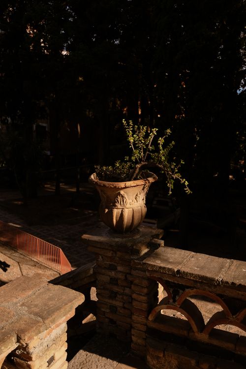 Free A terracotta pot with plant on a stone railing in sunlight, surrounded by shadows. Stock Photo