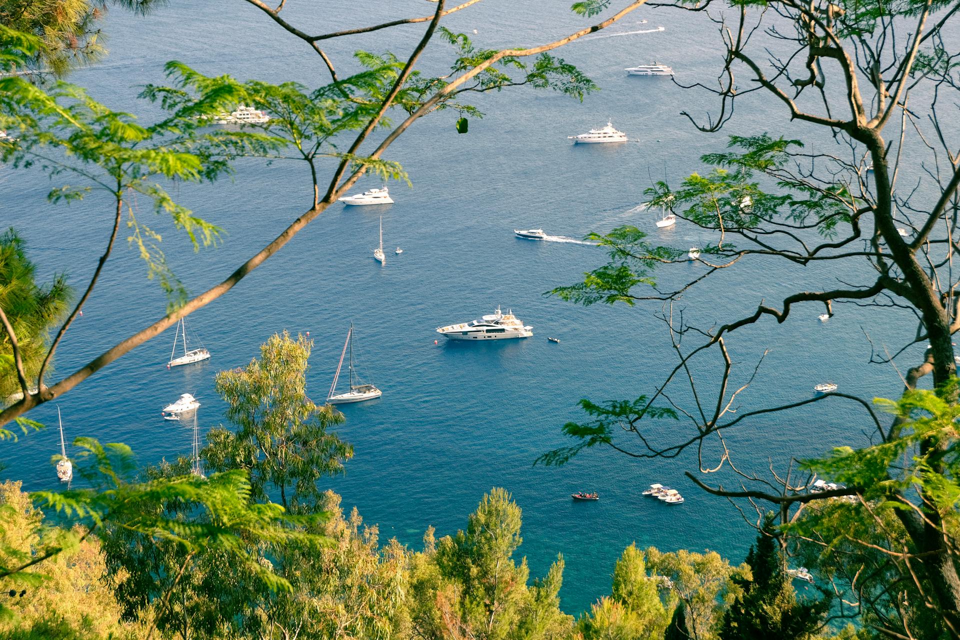A beautiful aerial view of yachts sailing on a blue ocean surrounded by green trees, showcasing nature's beauty.