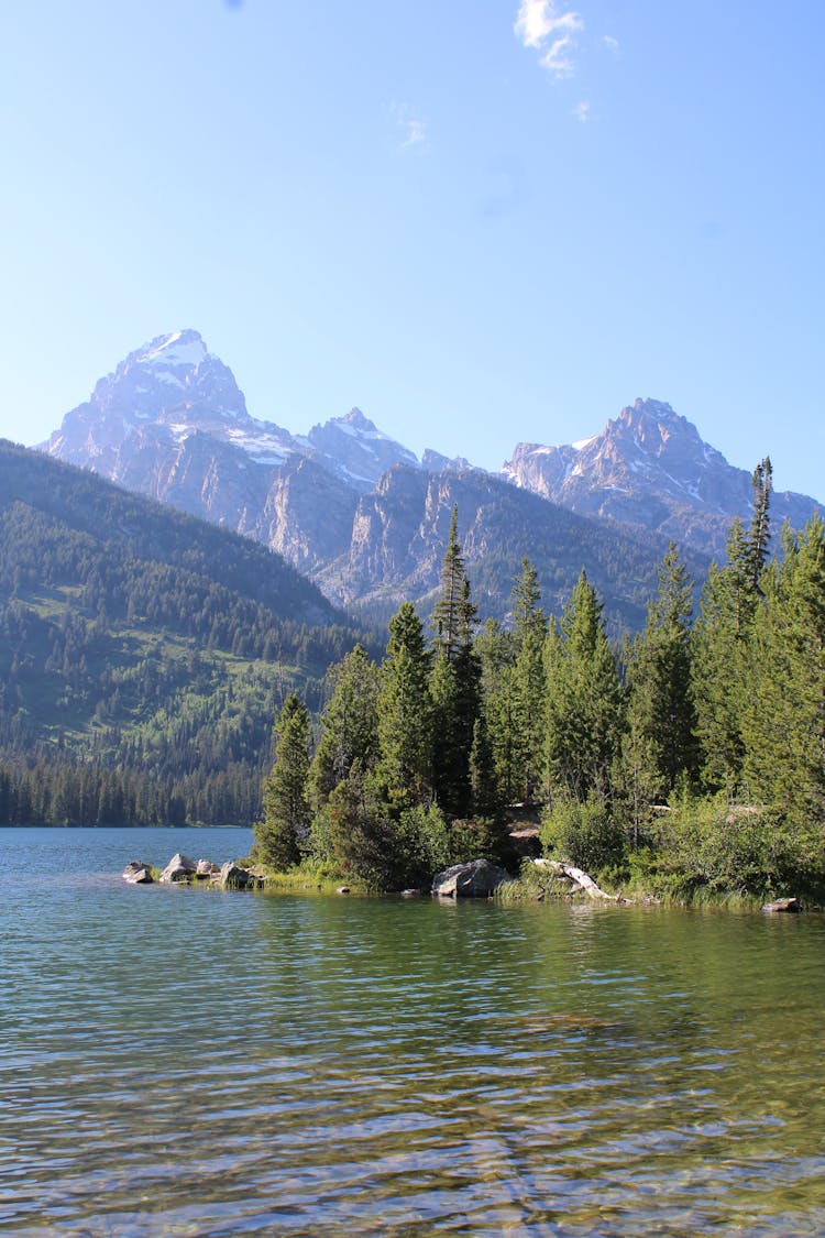 Summer Mountain Landscape