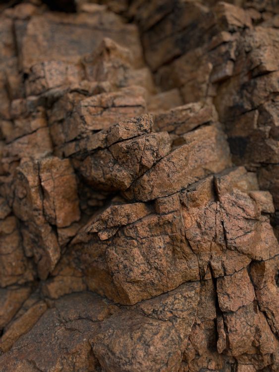 Dry Rocks on Ground · Free Stock Photo