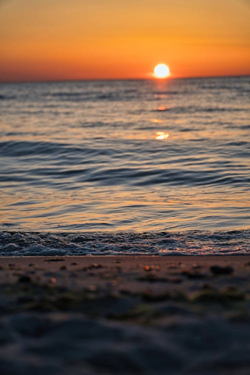 Základová fotografie zdarma na téma oranžová obloha, pláž, pobřeží