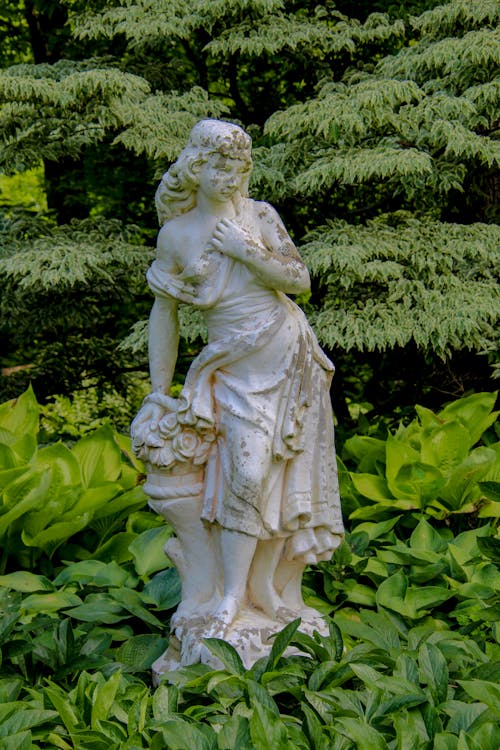 Fotos de stock gratuitas de arboles, escultura, estatua