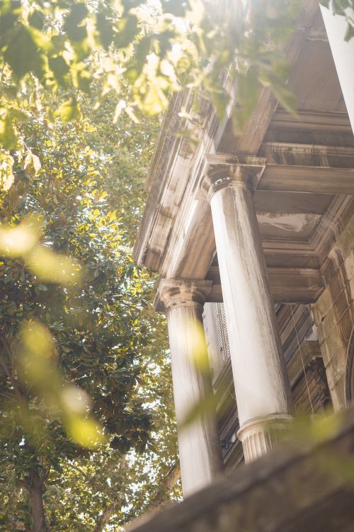 Free Low angle view of ornate columns on an old building surrounded by lush foliage. Stock Photo