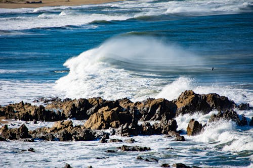 Foto profissional grátis de água, atraente, beira-mar