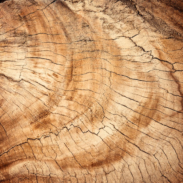 갈색 나무 표면