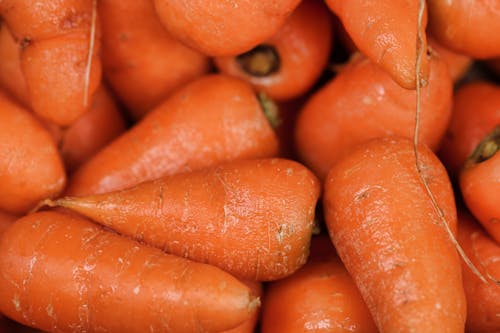 Free Fill the Frame Photography of Carrots Stock Photo