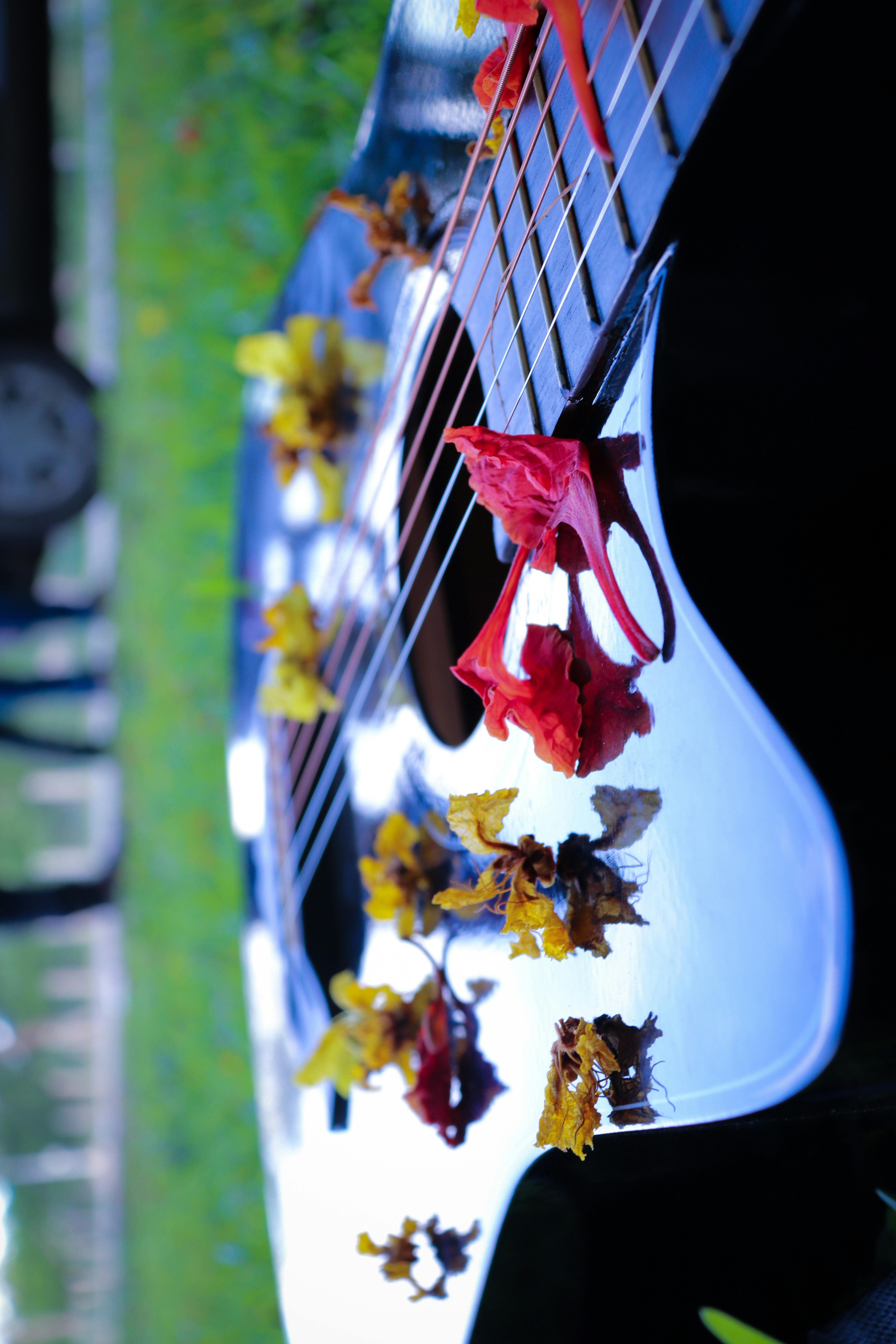 4kの壁紙 悲しい 死の無料の写真素材