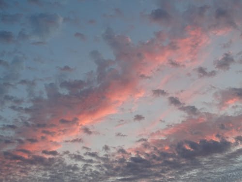 Pink and Gray Clouds in the Sky