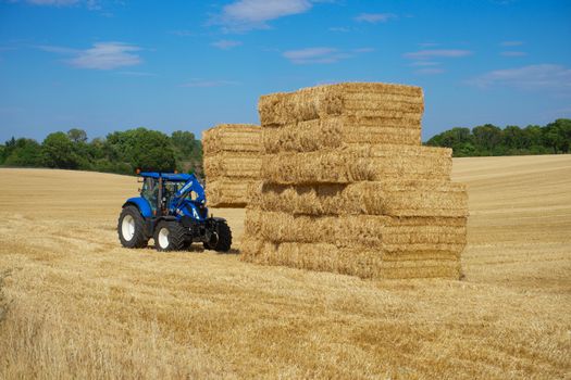 Blue tractor stacking hay bales in a sunny Knebworth field.