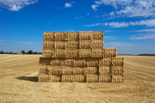 Free A clear summer day in Knebworth with stacked hay bales in a vast rural landscape. Stock Photo