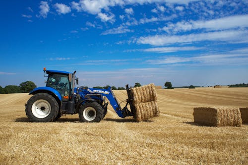 Imagine de stoc gratuită din agricultură, la țară, teren agricol