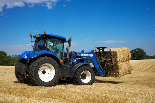 Fotos de stock gratuitas de bala, campo marrón, campos de cultivo