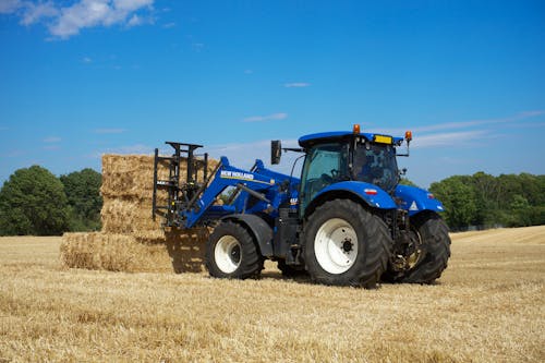 Foto d'estoc gratuïta de agricultura, bales de farratge, camp