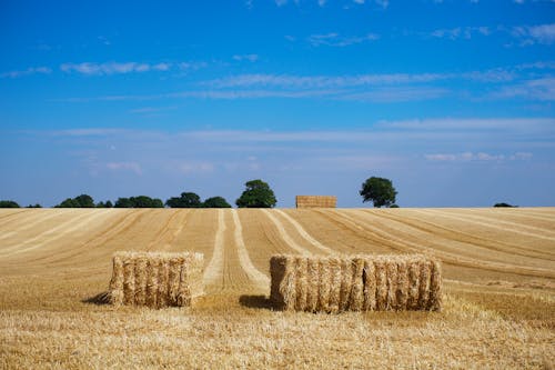 Gratis stockfoto met akkerland, balen hooi, blauwe lucht