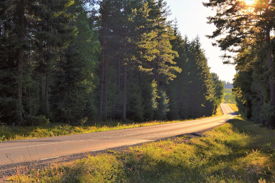 Zadarmo Fotobanka s bezplatnými fotkami na tému backroad, cesta, cestička Fotka z fotobanky