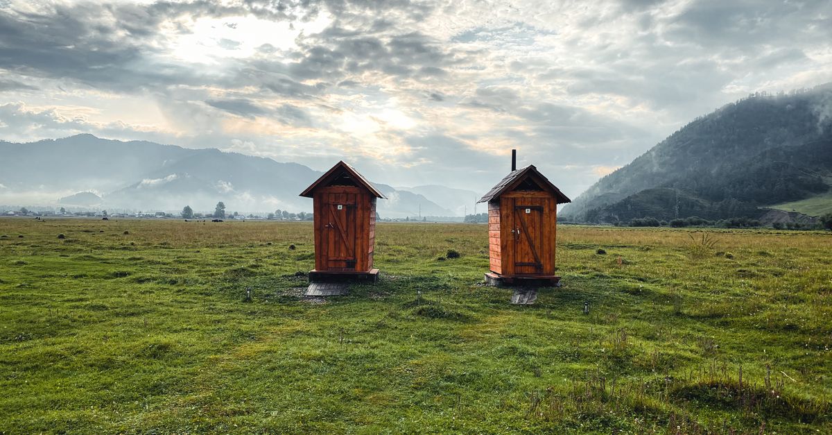 Explore the serene Altai landscape with twin wooden outhouses amidst a lush green field and cloudy sky.