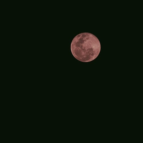 夜空, 天然卫星, 月亮 的 免费素材图片