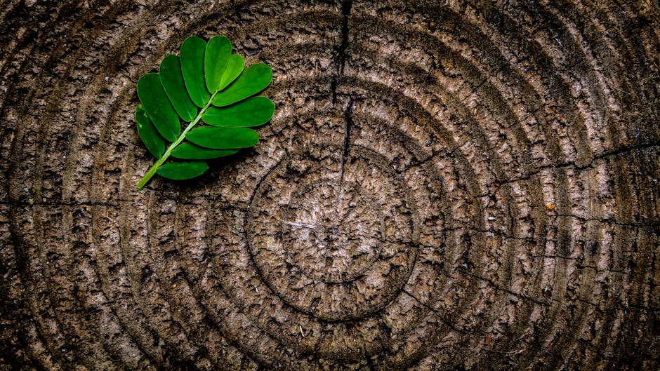 Natural Greens with Brown Floors - brown hardwood floor colors