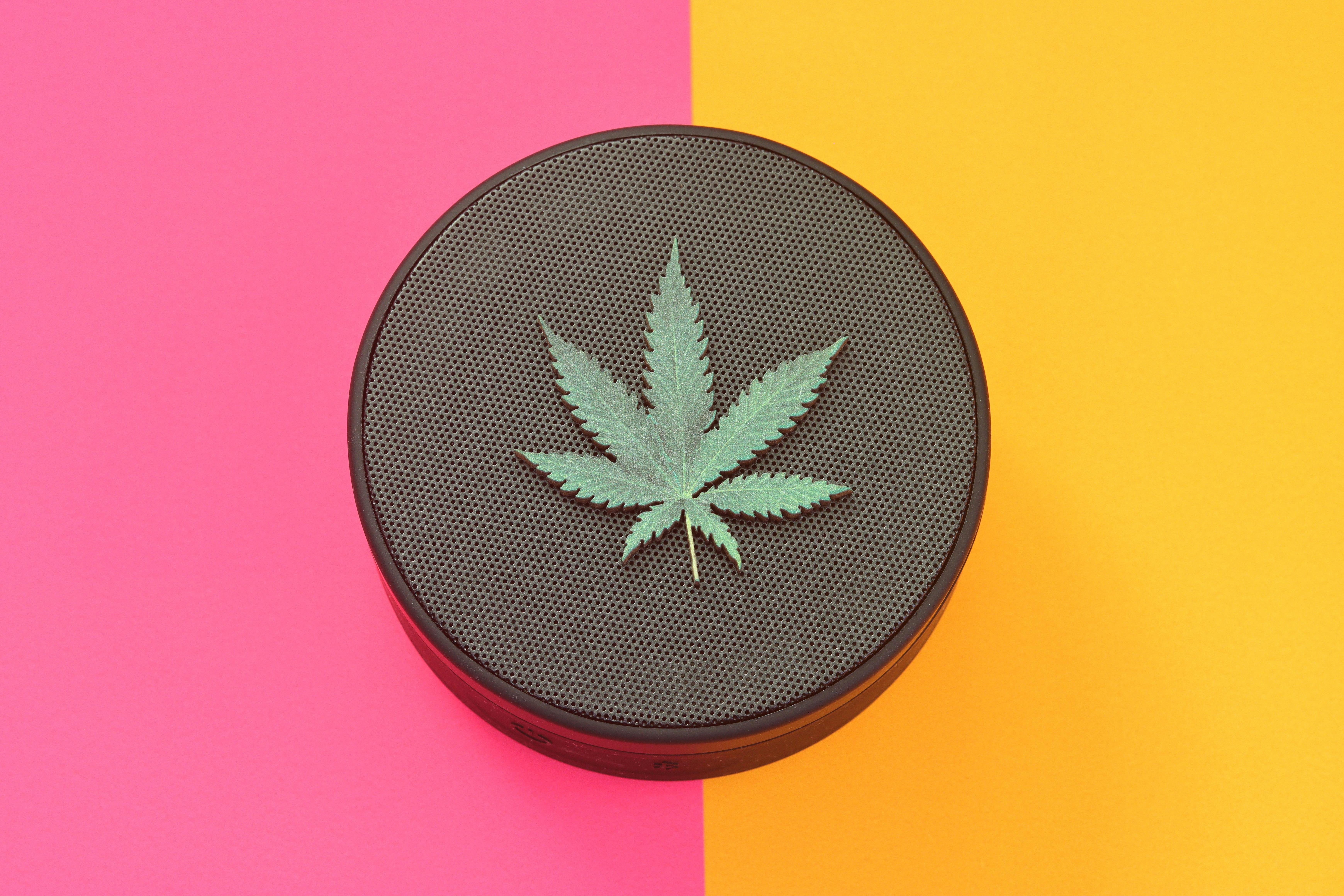 Opinion | Not All Cannabis Innovation Benefits Patients — Photo by Dana Miller on Pexels