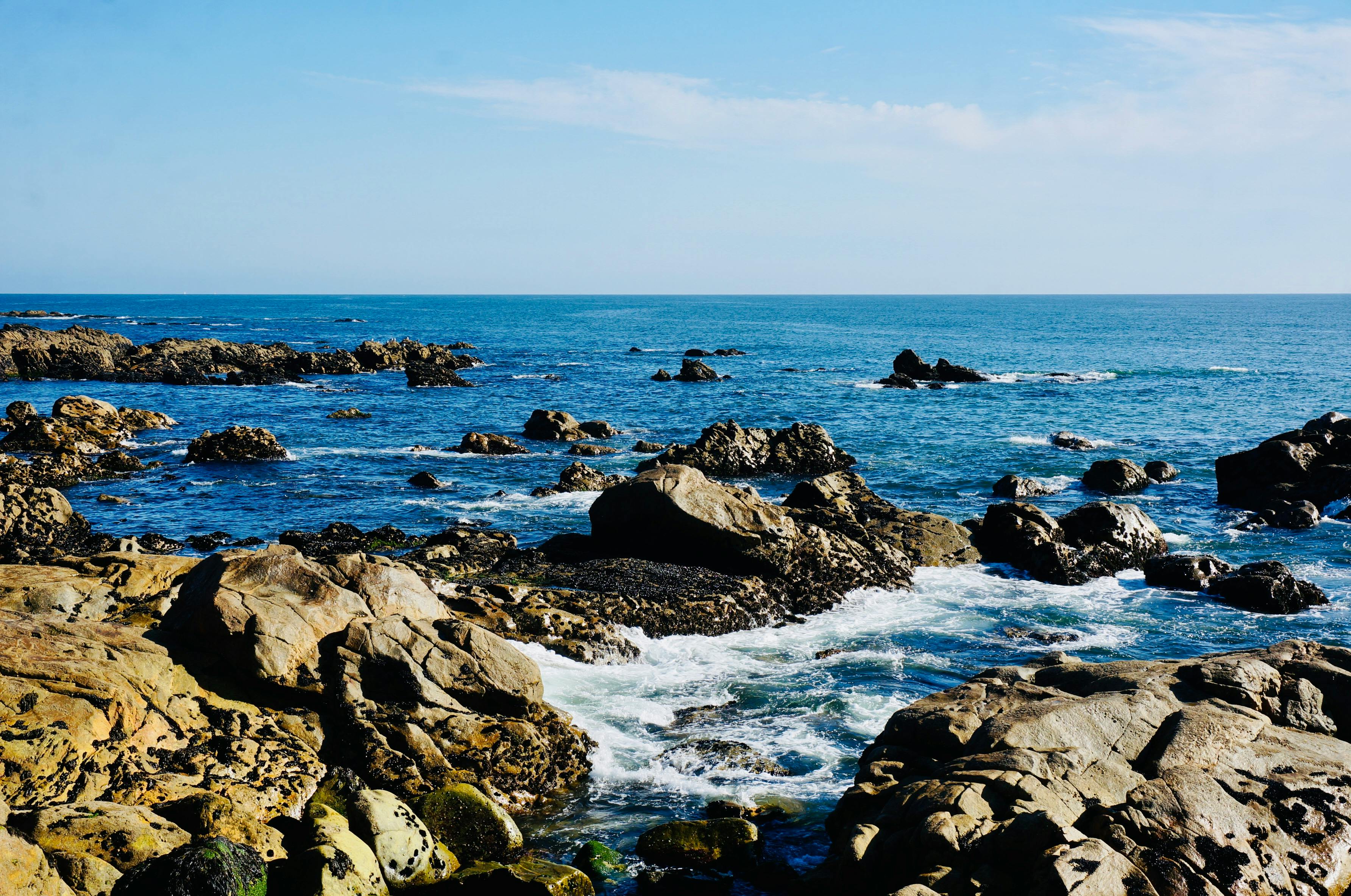 colorato mare sfondo con roccioso parte inferiore massi alghe e