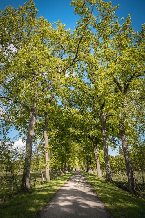 Základová fotografie zdarma na téma betonové silnici, cesta, dlažba